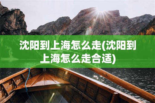 沈阳到上海怎么走(沈阳到上海怎么走合适)
