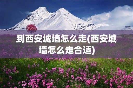 到西安城墙怎么走(西安城墙怎么走合适)