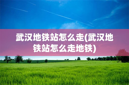 武汉地铁站怎么走(武汉地铁站怎么走地铁)