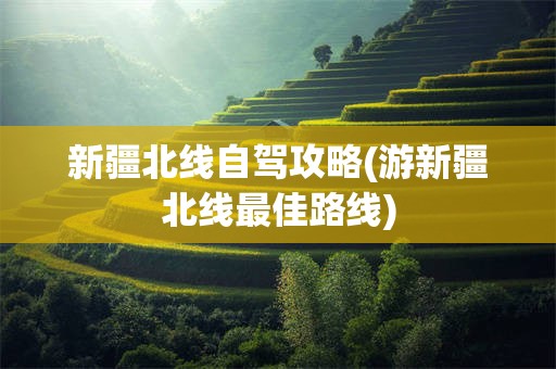新疆北线自驾攻略(游新疆北线最佳路线)
