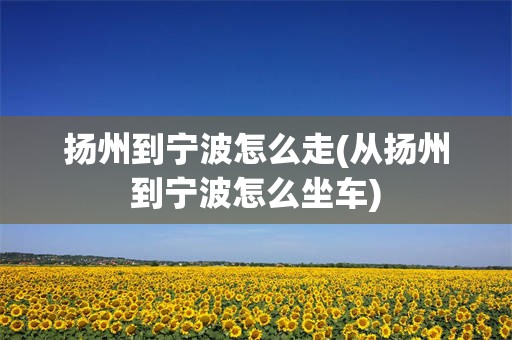 扬州到宁波怎么走(从扬州到宁波怎么坐车)