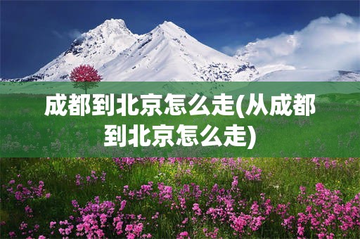 成都到北京怎么走(从成都到北京怎么走)