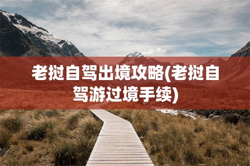 老挝自驾出境攻略(老挝自驾游过境手续)