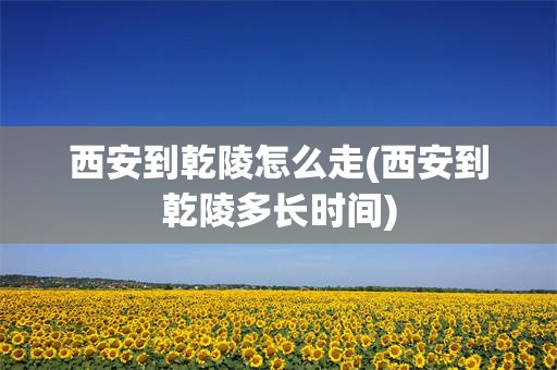 西安到乾陵怎么走(西安到乾陵多长时间) 西安到乾陵怎么走(西安到乾陵多长时间)