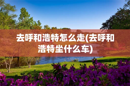 去呼和浩特怎么走(去呼和浩特坐什么车)