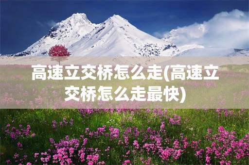 高速立交桥怎么走(高速立交桥怎么走最快)