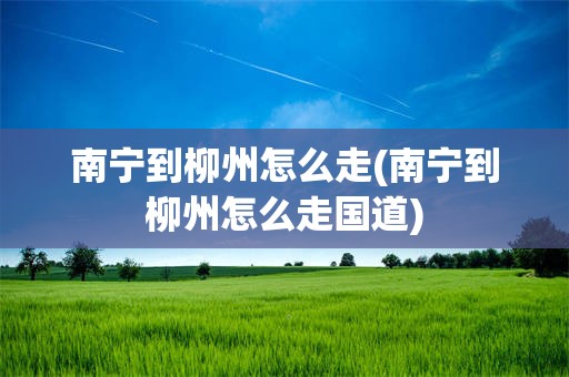 南宁到柳州怎么走(南宁到柳州怎么走国道)