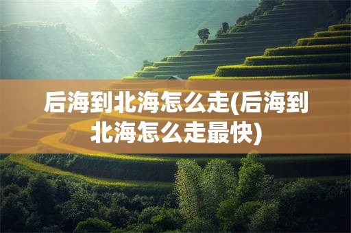 后海到北海怎么走(后海到北海怎么走最快)