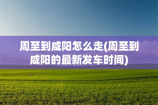 周至到咸阳怎么走(周至到咸阳的最新发车时间)