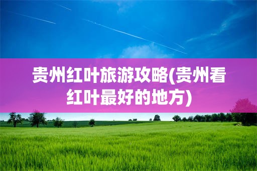贵州红叶旅游攻略(贵州看红叶最好的地方)