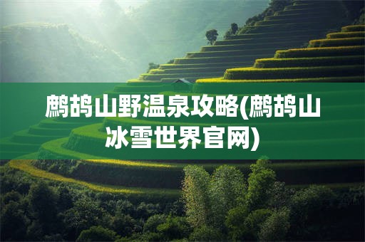 鹧鸪山野温泉攻略(鹧鸪山冰雪世界官网)