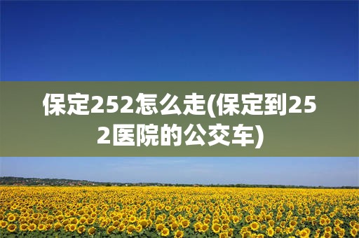 保定252怎么走(保定到252医院的公交车)