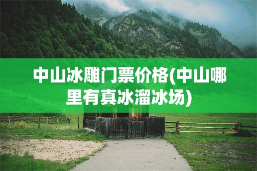 中山冰雕门票价格(中山哪里有真冰溜冰场)