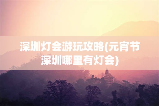 深圳灯会游玩攻略(元宵节深圳哪里有灯会)