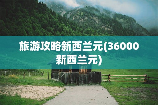 旅游攻略新西兰元(36000新西兰元)