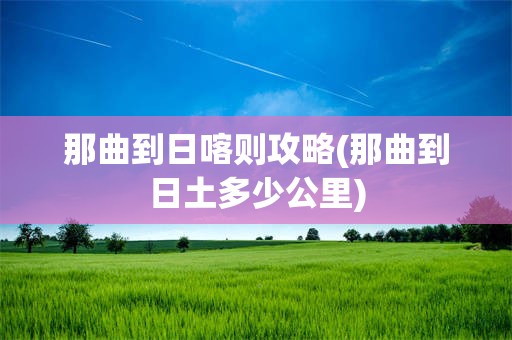 那曲到日喀则攻略(那曲到日土多少公里)