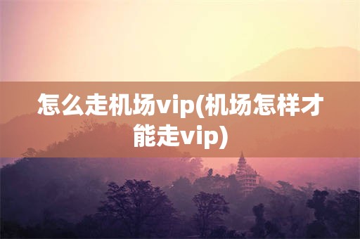 怎么走机场vip(机场怎样才能走vip)