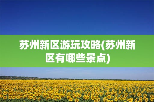 苏州新区游玩攻略(苏州新区有哪些景点)