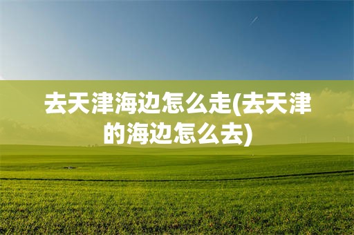 去天津海边怎么走(去天津的海边怎么去)