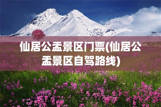 仙居公盂景区门票(仙居公盂景区自驾路线)