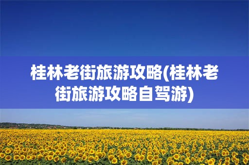 桂林老街旅游攻略(桂林老街旅游攻略自驾游)