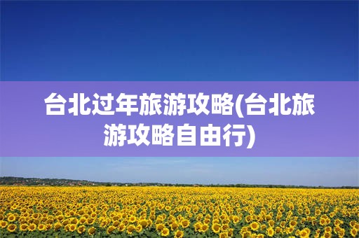 台北过年旅游攻略(台北旅游攻略自由行)