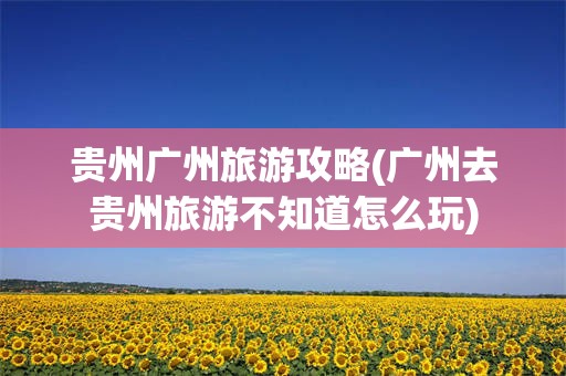 贵州广州旅游攻略(广州去贵州旅游不知道怎么玩)