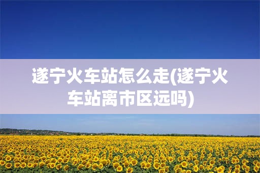 遂宁火车站怎么走(遂宁火车站离市区远吗)