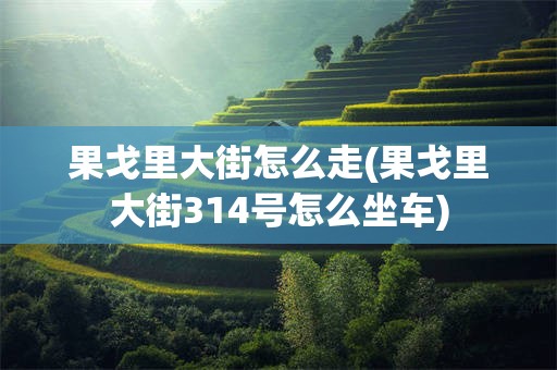 果戈里大街怎么走(果戈里大街314号怎么坐车)