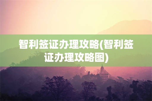 智利签证办理攻略(智利签证办理攻略图)