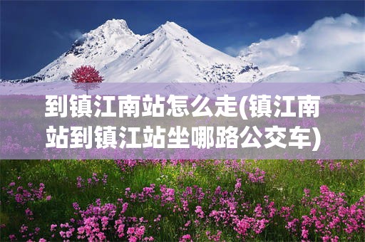 到镇江南站怎么走(镇江南站到镇江站坐哪路公交车)