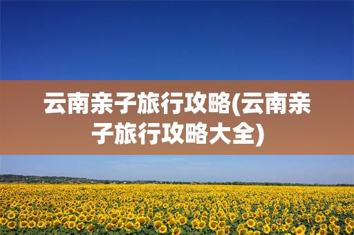 云南亲子旅行攻略(云南亲子旅行攻略大全)