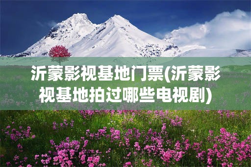 沂蒙影视基地门票(沂蒙影视基地拍过哪些电视剧)