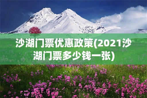沙湖门票优惠政策(2021沙湖门票多少钱一张)