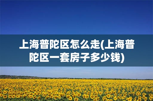 上海普陀区怎么走(上海普陀区一套房子多少钱)