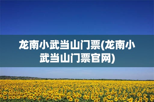 龙南小武当山门票(龙南小武当山门票官网)