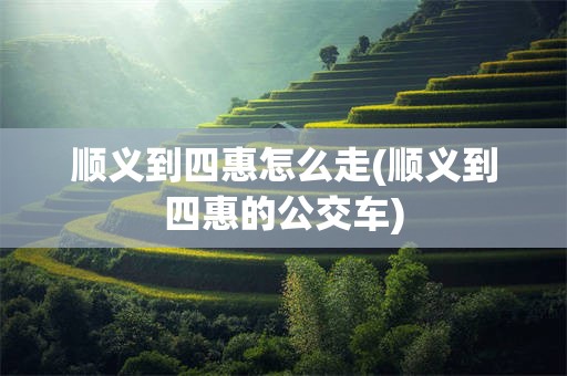 顺义到四惠怎么走(顺义到四惠的公交车)