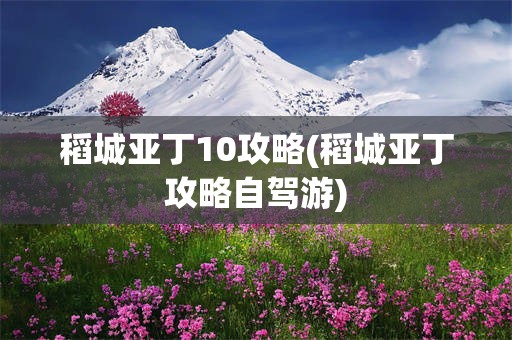稻城亚丁10攻略(稻城亚丁攻略自驾游)