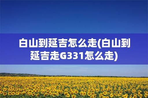 白山到延吉怎么走(白山到延吉走G331怎么走)