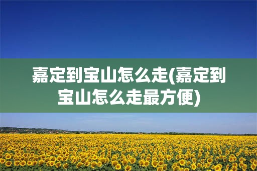 嘉定到宝山怎么走(嘉定到宝山怎么走最方便)