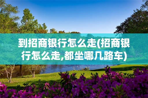 到招商银行怎么走(招商银行怎么走,都坐哪几路车)