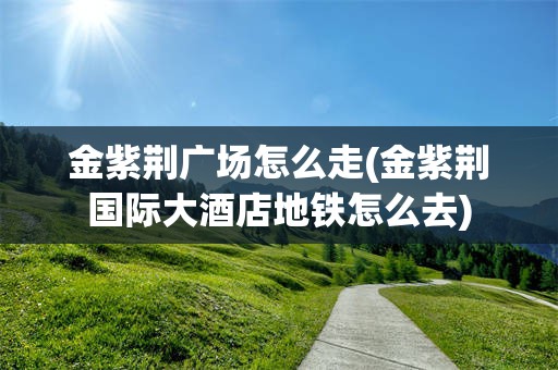 金紫荆广场怎么走(金紫荆国际大酒店地铁怎么去)