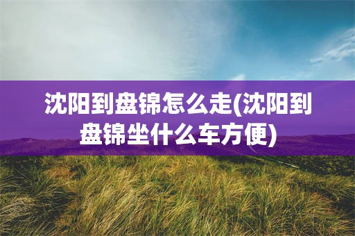 沈阳到盘锦怎么走(沈阳到盘锦坐什么车方便)