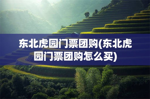 东北虎园门票团购(东北虎园门票团购怎么买)