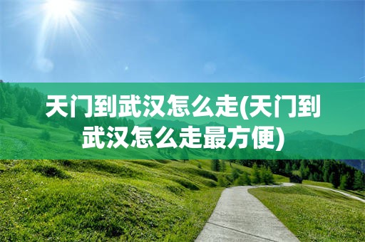 天门到武汉怎么走(天门到武汉怎么走最方便)
