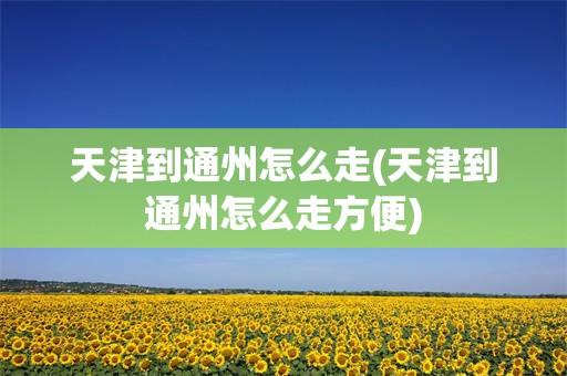 天津到通州怎么走(天津到通州怎么走方便)
