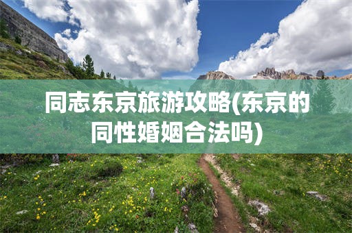 同志东京旅游攻略(东京的同性婚姻合法吗)