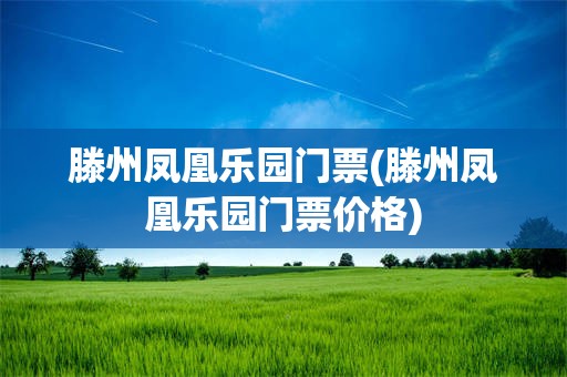 滕州凤凰乐园门票(滕州凤凰乐园门票价格)