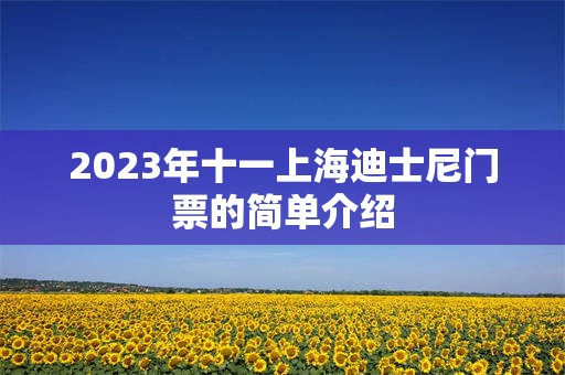 2023年十一上海迪士尼门票的简单介绍