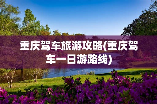 重庆驾车旅游攻略(重庆驾车一日游路线)